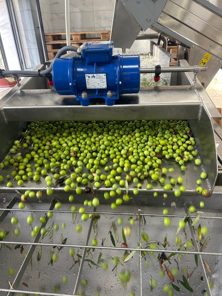 image_73531947-0b0e-44f7-9330-a3ceafb35e0e