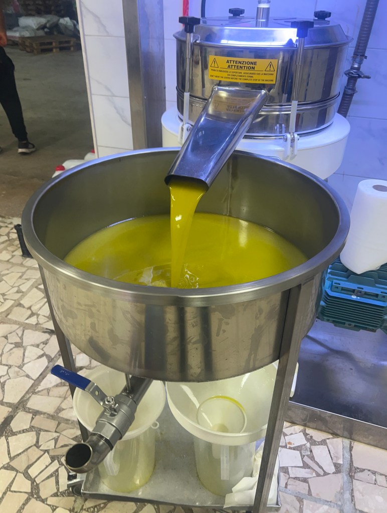 image_f6c41177-20fb-4355-9ef5-f6427d796758